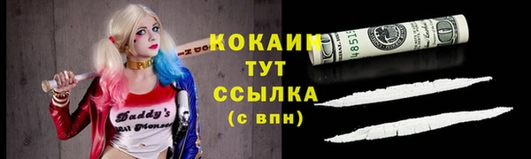 МДПВ Карпинск