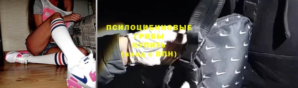 apvp Касимов