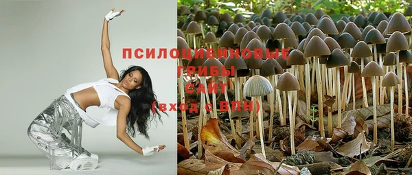 МДПВ Карпинск