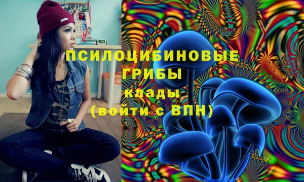 apvp Касимов