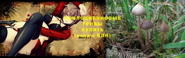 МДПВ Карпинск