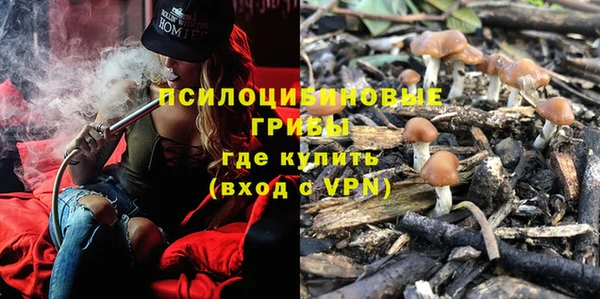 МДПВ Карпинск