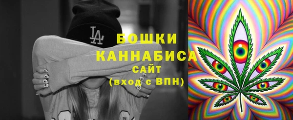 МДПВ Карпинск